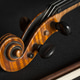 Close view of violin scroll and pegs on a dark surface with bow nearby Close view of violin scroll and pegs on a dark surface with bow nearby - PhotoDune Item for Sale