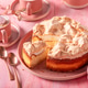 Delicious and homemade meringue cheesecake made with vanilla and cheese. Delicious and homemade meringue cheesecake made with vanilla and cheese. - PhotoDune Item for Sale