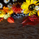 Thanksgiving flat lay. Autumn flat lay with pumpkins, fall leaves, flowers, berries Thanksgiving flat lay. Autumn flat lay with pumpkins, fall leaves, flowers, berries - PhotoDune Item for Sale