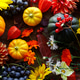 Thanksgiving flat lay. Autumn pumpkins, fall leaves, flowers, berries on rustic wood Thanksgiving flat lay. Autumn pumpkins, fall leaves, flowers, berries on rustic wood - PhotoDune Item for Sale