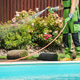 Watering the plants around the pool during a sunny day in the backyard Watering the plants around the pool during a sunny day in the backyard - PhotoDune Item for Sale