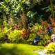 Plants grow in a garden during a sunny day in spring Plants grow in a garden during a sunny day in spring - PhotoDune Item for Sale