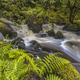 Long exposure of fast flowing forest river with silky water Long exposure of fast flowing forest river with silky water - PhotoDune Item for Sale