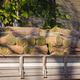 Turf rolls stacked on truck bed beside sunlit garden wall Turf rolls stacked on truck bed beside sunlit garden wall - PhotoDune Item for Sale