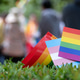 Rainbow pride and transgender flags displayed on green grass Rainbow pride and transgender flags displayed on green grass - PhotoDune Item for Sale