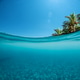 Tropical island palm trees and blue sea bottom splitting water line view. Tropical island palm trees and blue sea bottom splitting water line view. - PhotoDune Item for Sale