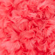 Close up of Pink Tulle with Fluffy Folds Close up of Pink Tulle with Fluffy Folds - PhotoDune Item for Sale