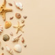 Summer time concept Flat lay composition with beautiful starfish and sea shells on colored table, to Summer time concept Flat lay composition with beautiful starfish and sea shells on colored table, to - PhotoDune Item for Sale