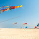 Wide shot of colorful giant marine animal kites flying high over the sandy coast of Santa Monica Bea Wide shot of colorful giant marine animal kites flying high over the sandy coast of Santa Monica Bea - PhotoDune Item for Sale