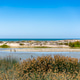 Horizontal view of the Ventura River estuary wetlands leading to a sandy barrier beach and the open Horizontal view of the Ventura River estuary wetlands leading to a sandy barrier beach and the open - PhotoDune Item for Sale