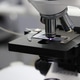 Microscopes and digital imaging systems analyzing samples in laboratory. Microscopes and digital imaging systems analyzing samples in laboratory. - PhotoDune Item for Sale