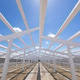 Industrial hall skeleton structure under blue sky Industrial hall skeleton structure under blue sky - PhotoDune Item for Sale