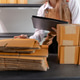 Female warehouse employee managing inventory, organizing parcel boxes, checking stock, preparing cus Female warehouse employee managing inventory, organizing parcel boxes, checking stock, preparing cus - PhotoDune Item for Sale