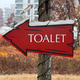Red directional sign reading toilet attached to tree in festive urban park. Winter holiday navigatio Red directional sign reading toilet attached to tree in festive urban park. Winter holiday navigatio - PhotoDune Item for Sale