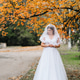 Bright Bride Against the Backdrop of Autumn Trees in Bright Bride Against the Backdrop of Autumn Trees in - PhotoDune Item for Sale