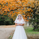 Bright Bride Against the Backdrop of Autumn Trees in Bright Bride Against the Backdrop of Autumn Trees in - PhotoDune Item for Sale