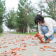 Brunette Woman Collecting Autumn Leaves in the Park Brunette Woman Collecting Autumn Leaves in the Park - PhotoDune Item for Sale