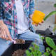 Woman preparing pot for repotting plants Woman preparing pot for repotting plants - PhotoDune Item for Sale