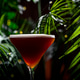 Espresso Martini alcoholic cocktail drink close up with thick foam. Macro detail of gourmet espresso Espresso Martini alcoholic cocktail drink close up with thick foam. Macro detail of gourmet espresso - PhotoDune Item for Sale