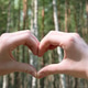 Fingers Folded in the Shape of a Heart Symbolizing Concern for the Planet's Ecological Environment Fingers Folded in the Shape of a Heart Symbolizing Concern for the Planet's Ecological Environment - PhotoDune Item for Sale