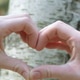 Fingers Folded in the Shape of a Heart Symbolizing Concern for the Planet's Ecological Environment Fingers Folded in the Shape of a Heart Symbolizing Concern for the Planet's Ecological Environment - PhotoDune Item for Sale