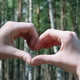 Fingers Folded in the Shape of a Heart Symbolizing Concern for the Planet's Ecological Environment Fingers Folded in the Shape of a Heart Symbolizing Concern for the Planet's Ecological Environment - PhotoDune Item for Sale
