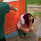The children are teasing the girl The children are teasing the girl - PhotoDune Item for Sale