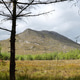 Connemara mountains scenic landscape with dramatic clouds, rugged terrain, peaceful nature and vibra Connemara mountains scenic landscape with dramatic clouds, rugged terrain, peaceful nature and vibra - PhotoDune Item for Sale