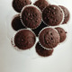 Chocolate muffins on a plate Chocolate muffins on a plate - PhotoDune Item for Sale