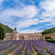Lavender field at Senanque Abbey in provence, France under dramatic blue sky Lavender field at Senanque Abbey in provence, France under dramatic blue sky - PhotoDune Item for Sale