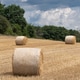 Field with rolls of hay Field with rolls of hay - PhotoDune Item for Sale