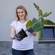 Woman holding plant seedling with visible roots for transplanting Woman holding plant seedling with visible roots for transplanting - PhotoDune Item for Sale