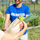 Volunteer giving fresh produce in community garden Volunteer giving fresh produce in community garden - PhotoDune Item for Sale