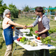 Gardeners shaking hands making deal at vegetable patch Gardeners shaking hands making deal at vegetable patch - PhotoDune Item for Sale