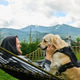 Travel experience in the Carpathian Mountains with a golden retriever Travel experience in the Carpathian Mountains with a golden retriever - PhotoDune Item for Sale