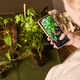 Woman Photographing Seedlings for Home Gardening Content Woman Photographing Seedlings for Home Gardening Content - PhotoDune Item for Sale