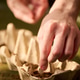 Hands Planting Seeds in Recycled Cartons for Eco Learning Hands Planting Seeds in Recycled Cartons for Eco Learning - PhotoDune Item for Sale