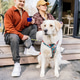 Relaxed woman and man spending quiet morning with dog near tiny house retreat Relaxed woman and man spending quiet morning with dog near tiny house retreat - PhotoDune Item for Sale