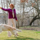 Mature Woman Playing Fetch With Golden Retriever In Garden Mature Woman Playing Fetch With Golden Retriever In Garden - PhotoDune Item for Sale