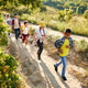 Top view image of kids, boys and girls walking on path in forest, field, going hiking together on wa Top view image of kids, boys and girls walking on path in forest, field, going hiking together on wa - PhotoDune Item for Sale