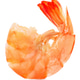 One tasty cooked shrimp isolated on white One tasty cooked shrimp isolated on white - PhotoDune Item for Sale