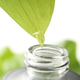 Oil dripping from leaf into bottle against blurred background, closeup. Cosmetic product Oil dripping from leaf into bottle against blurred background, closeup. Cosmetic product - PhotoDune Item for Sale
