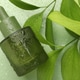 Bottle of cosmetic oil, leaves and water drops on green background, flat lay Bottle of cosmetic oil, leaves and water drops on green background, flat lay - PhotoDune Item for Sale