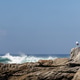Rocky ocean shore in South Africa Rocky ocean shore in South Africa - PhotoDune Item for Sale