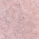 Pink Flakes of Natural Salt on the Shore of a Saline Lake Pink Flakes of Natural Salt on the Shore of a Saline Lake - PhotoDune Item for Sale