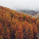Misty mountain landscape. Misty mountain landscape. - PhotoDune Item for Sale
