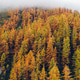 Autumn foliage in the Alps. Autumn foliage in the Alps. - PhotoDune Item for Sale