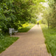 A path for walking in a city park with sunlight and shadows. Silhouette of an unrecognizable passerb A path for walking in a city park with sunlight and shadows. Silhouette of an unrecognizable passerb - PhotoDune Item for Sale