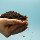 Hands holding fertile soil against blue sky,Agriculture, environmental sustainability Hands holding fertile soil against blue sky,Agriculture, environmental sustainability - PhotoDune Item for Sale