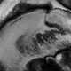 Monochrome Organic Noise Texture with Fluid Pattern Monochrome Organic Noise Texture with Fluid Pattern - PhotoDune Item for Sale